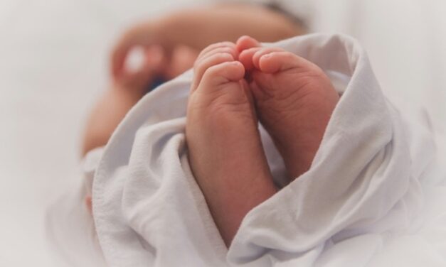 Le nombre de naissances ne diminue pas en 2025