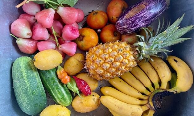 Souveraineté alimentaire : le territoire planche sur une feuille de route sur 10 ans
