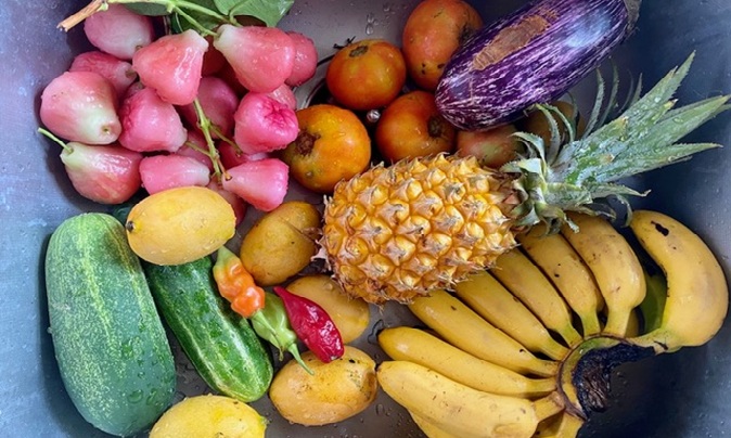 Souveraineté alimentaire : le territoire planche sur une feuille de route sur 10 ans