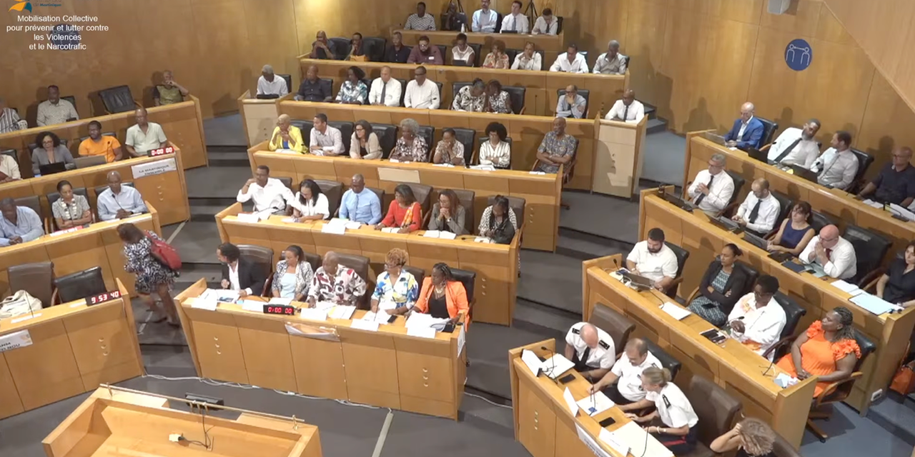 Une mobilisation collective pour lutter contre la violence en Martinique 