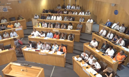 Une mobilisation collective pour lutter contre la violence en Martinique 