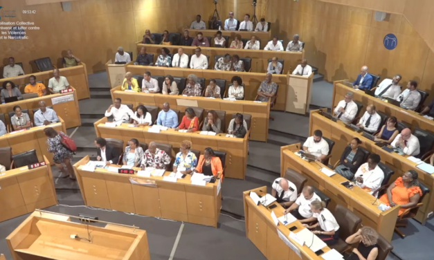 Une mobilisation collective pour lutter contre la violence en Martinique 