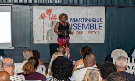 Le parti La Martinique Ensemble formule 21 propositions contre la violence 